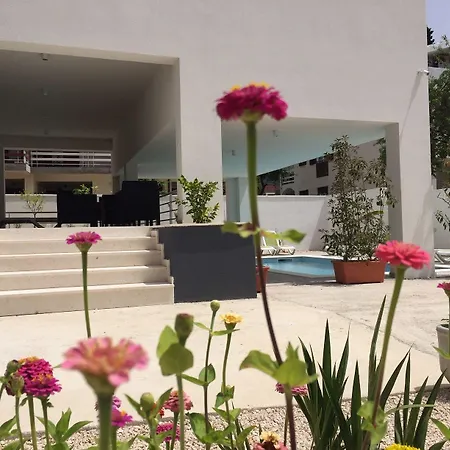 Гостевой дом Diklo Rooms-adults Only