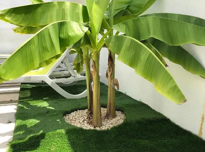 Diklo Rooms-adults Only 자다르